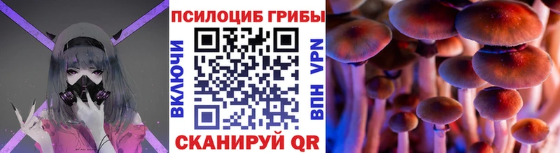 где можно купить   Беслан  Псилоцибиновые грибы мухоморы 